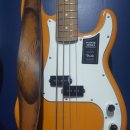 로드원 | 그동안에 사용했던 베이스 이야기9-10 (나의9-10번째 베이스 이야기)나의 첫 멕시코 펜더. 그리고 P병의...