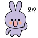 청솔영어