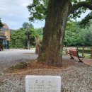 틀모산 도시숲 이미지