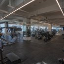 더디어짐 이미지