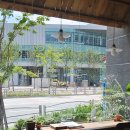 벤자민&데이지 이미지