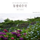 안덕면 동광단지경로당 | 제주 서쪽 안덕면 수국명소 동광리수국 길모퉁이가게