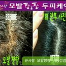 최명희미용실