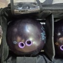 퍼플라이노 이미지