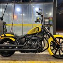 23년식 스트리트밥114 커스컴 120주년 노랭이 판매합니다! 신차급! 이미지