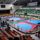 선비태권도 이미지