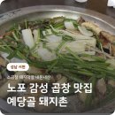 분당로263번길 | 분당동 예당골 돼지촌 소곱창 돼지막창 내돈내산