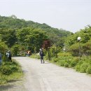 금촌 야생화,조각공원&amp;파주 진동리 민통선&amp;황포 돗대....^^* 이미지