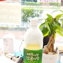 집밥먹개 집밥먹냥 이미지