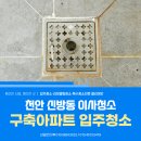 초원크리닝 | 천안 신방동 이사청소 초원 그린타운 심한 곰팡이, 동물 털, 심한 오염 청소 현장 후기