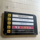 제이뉴어 | 수원 이뉴어 사진관 아날로그 감성 폴라로이드 촬영 후기
