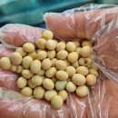 대두마을회관 이미지