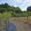 쌍암동산 이미지