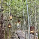 안개3길 | [대전/소제동 맛집] 도심 속 태국 여행, '치앙마이 방콕'에서 내편과 주말 데이트 🌿