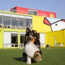 구정(동해)휴게소 이미지