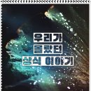 엠앤엠 글로벌