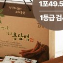공들인홍삼