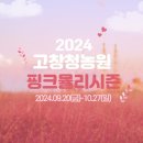 ⚘️ 2024년 가을축제 이미지