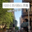 덴탈뷰 | 호텔: 가장 완벽한 뷰를 영원의 순간으로 편집하다 The Novella Edit (내돈내산 후기 feat. 호주 팁 문화)