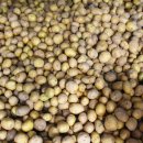 농업회사법인 건강드림(주) 이미지