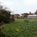 수원-1570 이미지