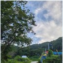 포레스트 카라반 랜드 이미지