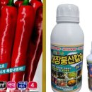 한국농약마트 이미지