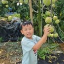 민후농장 이미지