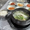 양양맛집추천 복지리 맛집 해광복집 내돈내산 솔직후기