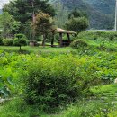 병풍바위야영장 이미지