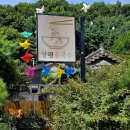 옥천군보건소 | 꽃국수_양평 옥천🍜