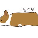 토담스펫 이미지