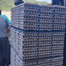 순창농장 이미지