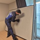 키움동물병원 | 광주 임신부 가사돌봄서비스 아이키움 20만원 꼼꼼케어 후기