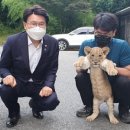 강원대학교 부속 동물병원 이미지