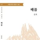 배꼽 - 윤 효 시집 / 서정시학 이미지