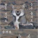 열매로또복권 이미지