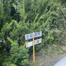 DMZ캠핑장 | [연천] #22.어느 여름 DMZ마루캠핑장 1박 2일 후기