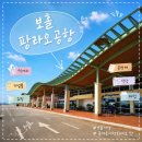 KIM`s Hair(킴스 헤어) | 보홀 팡라오 공항 출국 먹거리 기념품 쇼핑 공항세 식당 매점 총정리