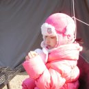 신탄진(서울) 이미지