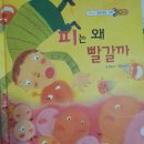 이선주 이미지