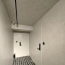 스테이바누 이미지