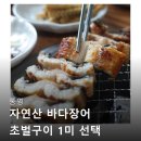 통영 자연산 바다장어 초벌구이 1미 선택 초벌양념 집에서도 즐기는 간편함과 풍미 관련 정보와 구매...