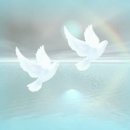 2026년 5월 14일 목요일 성 마티아 사도 축일 제1독서 (사도 1,15 -17. 20-26) 이미지