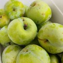 김한식농장 이미지