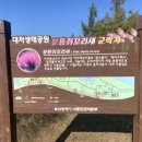 (주)팜파스 이미지