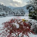 세레노펜션 이미지