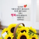 홍일점ㅡ황인종 이미지
