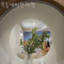 목동깨비한의원 네이버블로그