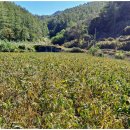 풍창농장 이미지